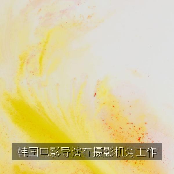 韩国电影导演在摄影机旁工作